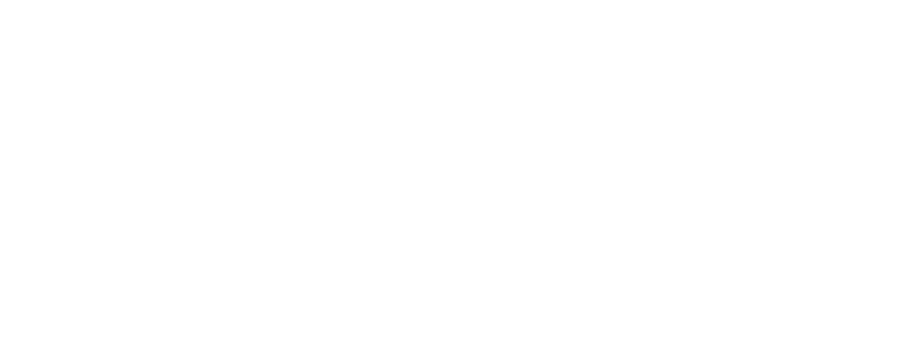 Vfast